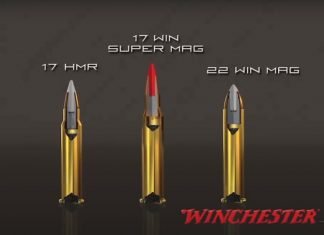 .17 Winchester Super Magnum